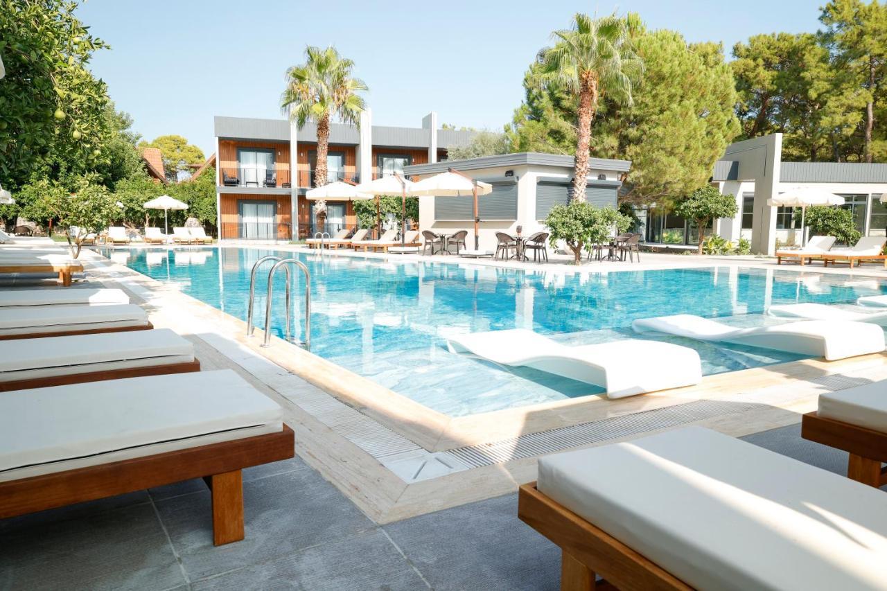 Forest In Hotel Kemer Ngoại thất bức ảnh